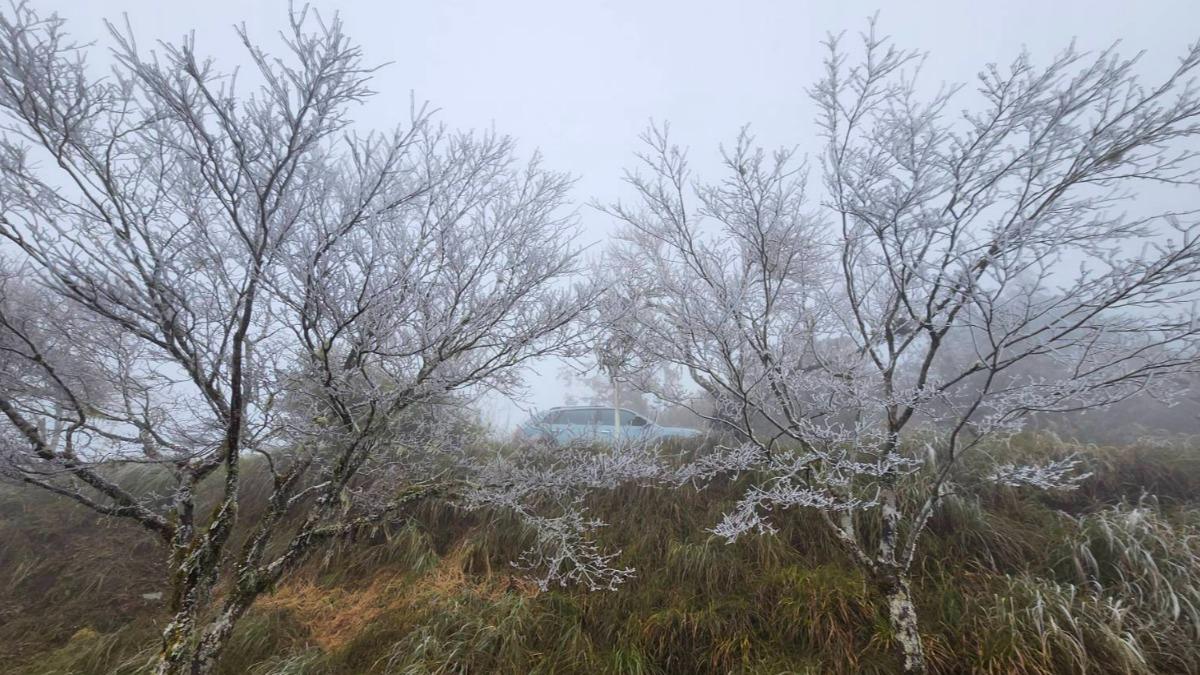 太平山0度低溫「冰霰霧淞齊現」。(圖/太平山遊樂區)
