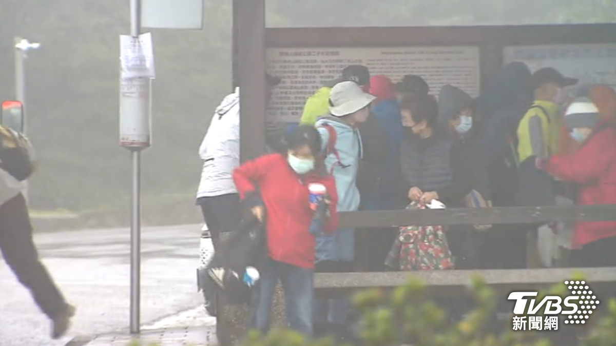 陽明山清晨2.5度,登山客追雪撲空。(圖/TVBS)