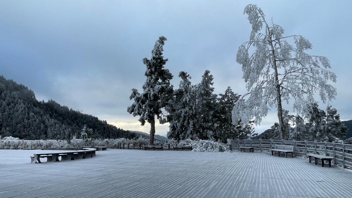 太平山低溫-1度！園區見雪白霧淞美景　道路無結冰上山免掛雪鏈