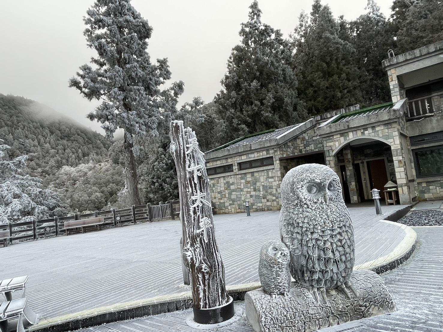 太平山國家森林遊樂區,出現一片霧淞雪白美景。(圖/太平山國家森林遊樂區)