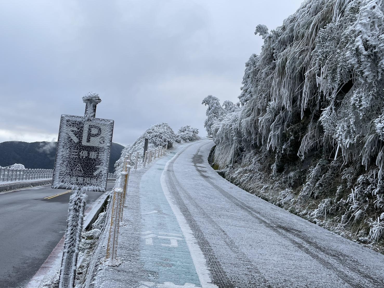 太平山國家森林遊樂區,出現一片霧淞雪白美景。(圖/太平山國家森林遊樂區)