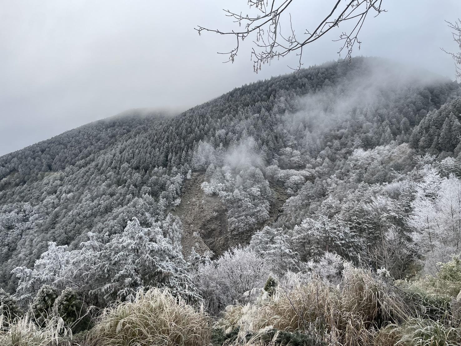 太平山國家森林遊樂區,出現一片霧淞雪白美景。(圖/太平山國家森林遊樂區)