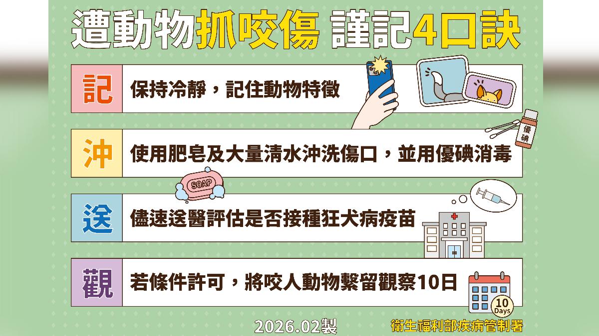 走春到野外注意!鼬獾狂犬病爆11例 人遭咬發病致死率100%