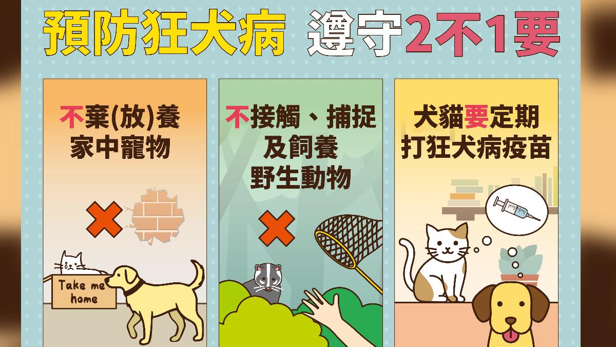 預防狂犬病謹遵兩不一要。(圖/疾管署提供)