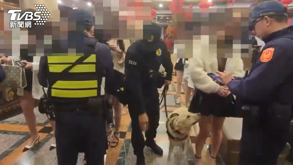 萌警犬入髮香區嗅聞 酒店小姐姐排排站「逆天白皙長腿」吸睛