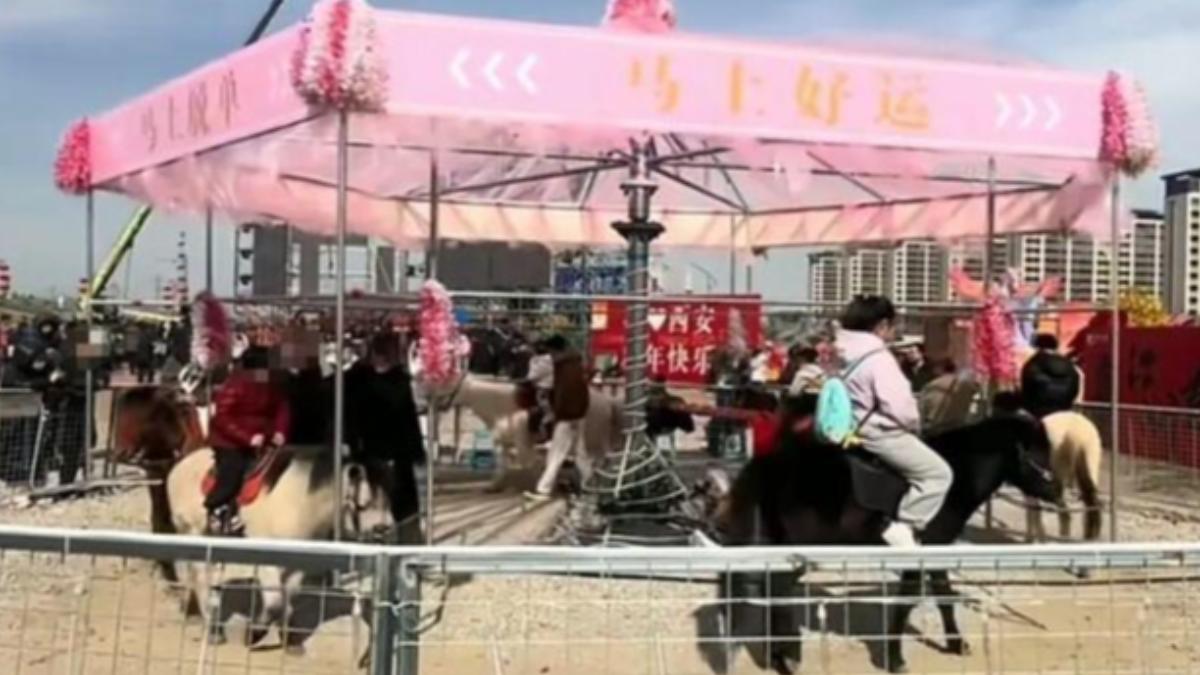 中國風景區推活的「旋轉真馬」!網批虐待動物 官方急暫停營運