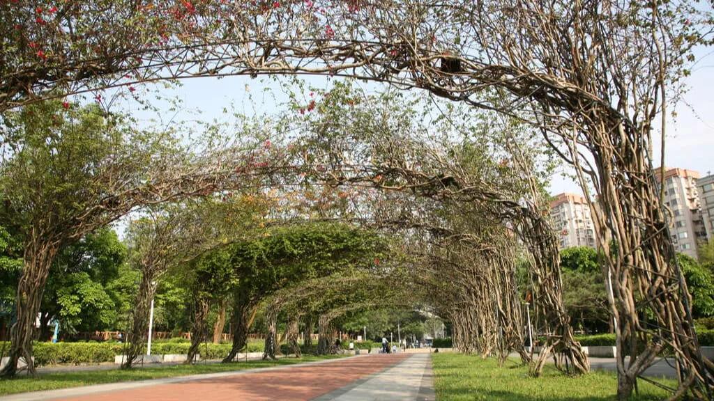 榮星花園公園有台北市區罕見的「賞螢勝地」。(圖/台北市政府觀光傳播局提供)