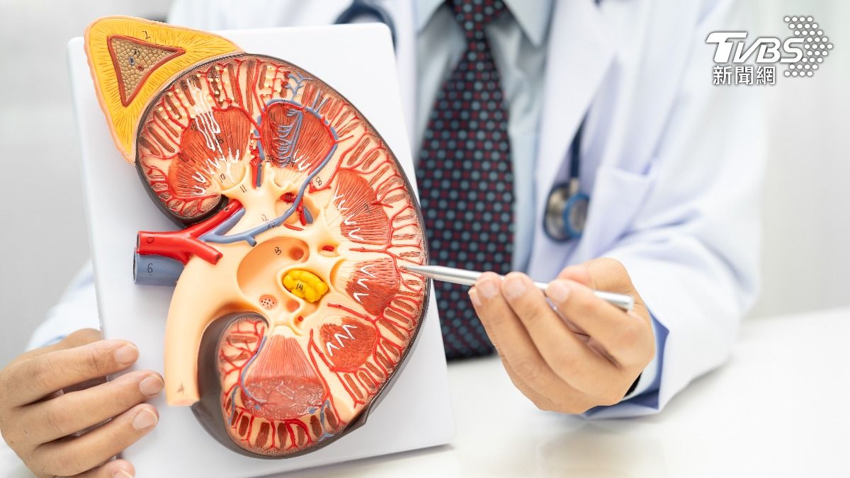 研究曝「1習慣」超護腎!還能降血壓 醫:10分鐘就有效