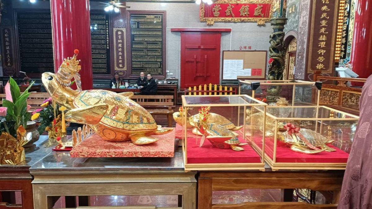 市值破8千萬!澎湖「430兩黃金龜」吸睛 防盜措施超嚴密