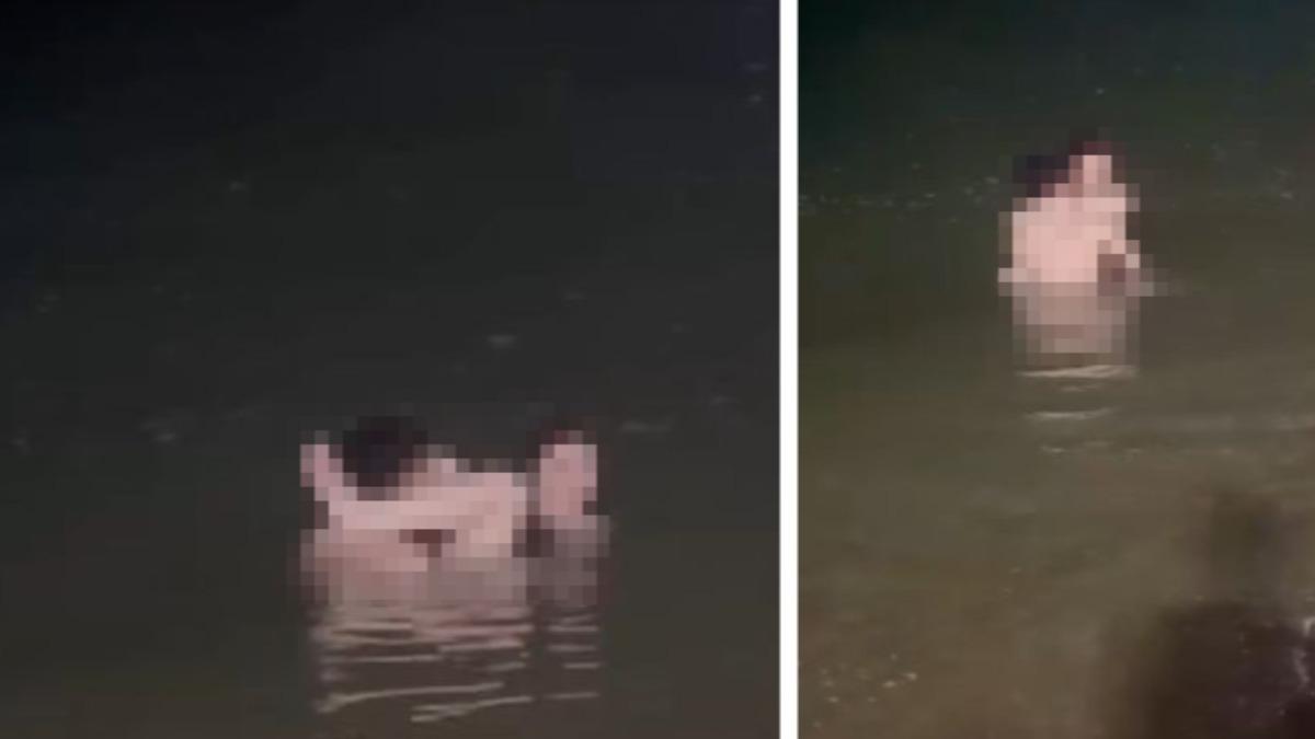超扯!陸男女「芭達雅海中激戰」 民眾圍觀錄影也不停