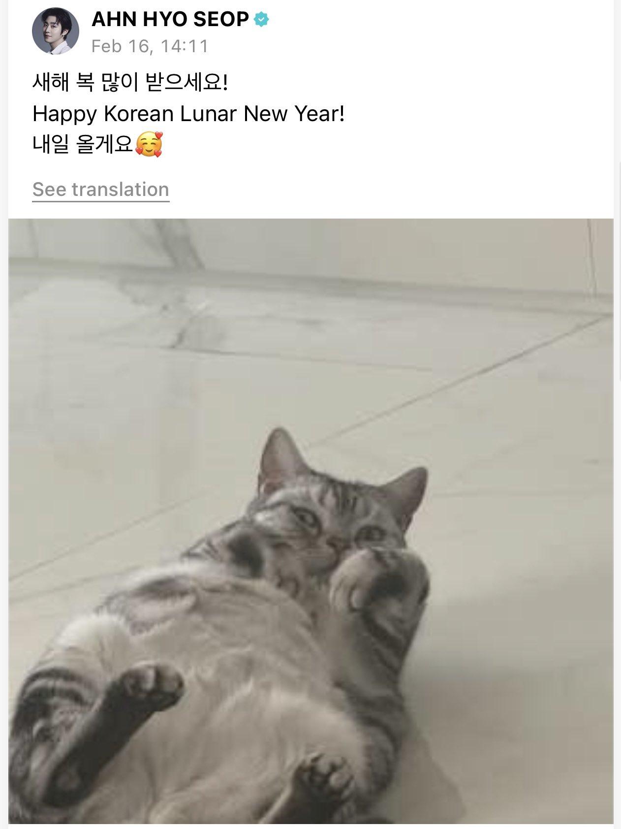 安孝燮發文賀新春,未料惹禍上身。(圖/翻攝自推特)