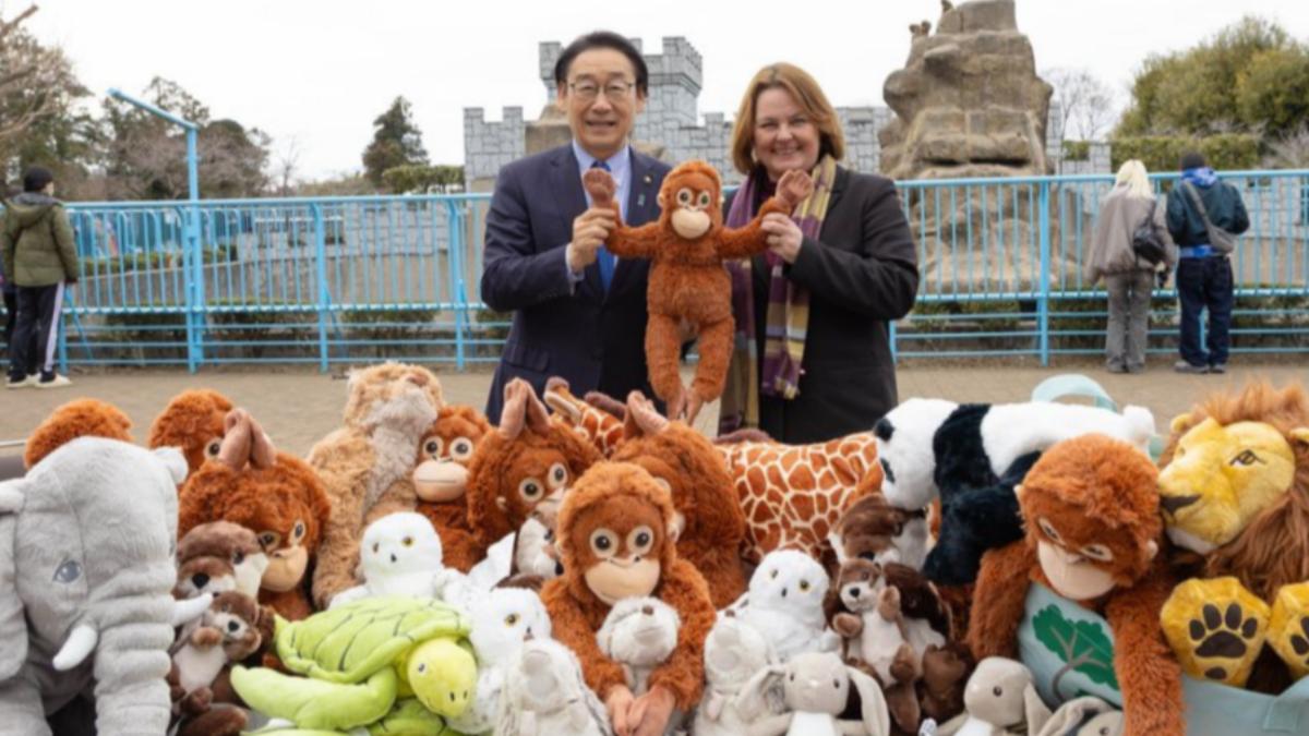 日本IKEA社長(右)捐獻許多玩偶,其中包含多隻Panchi君喜愛的紅毛猩猩玩偶,希望能讓牠「備用」。(圖/翻攝 emogram)