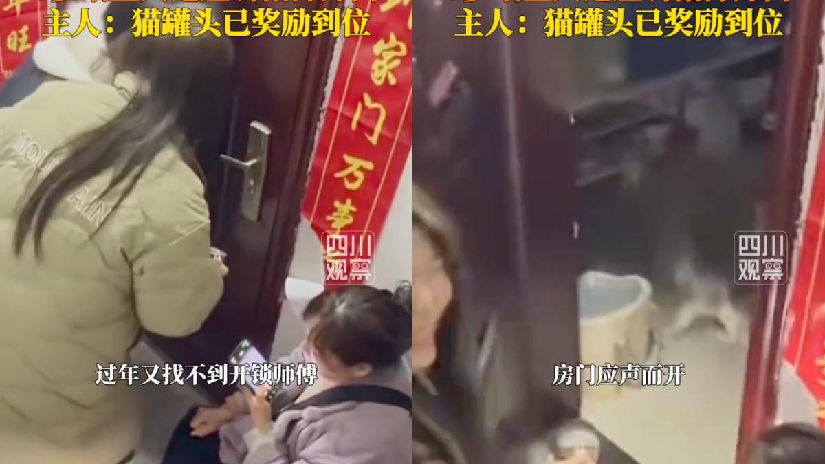 出門驚覺沒人帶鑰匙！陸女一家除夕夜被鎖門外　竟靠貓化解危機