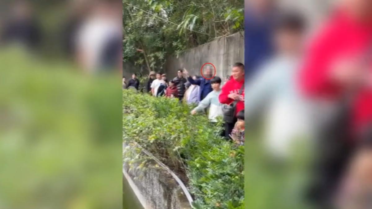 民眾初三逛動物園,發現有名男子亂餵食猩猩。(圖/yun8425提供)