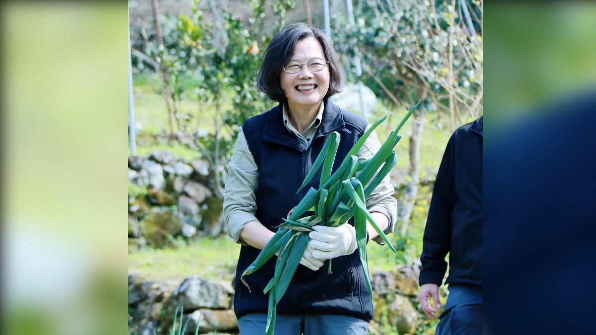 初三開心摘菜有亮點?蔡英文秀「拔蔥照」 網笑:某人瑟瑟發抖