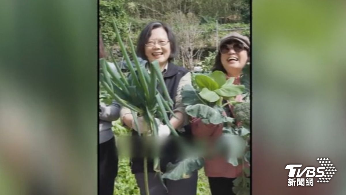 蔡英文前總統(圖/TVBS資料畫面)