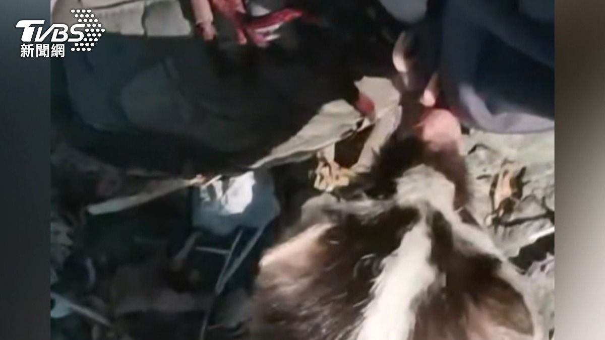 小動物開始啃咬他的腳，他想將牠撥開時反而被咬傷。（圖／TVBS）