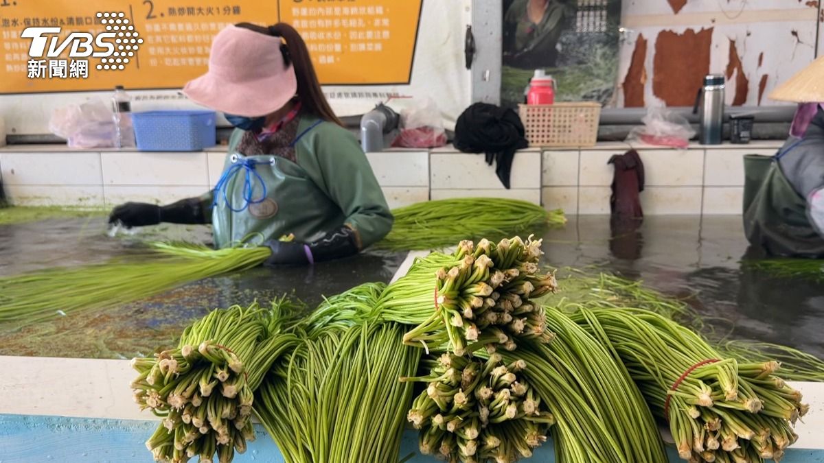 比水雉更瀕危!「極危植物」野蓮僅剩美濃區,農民攜手護棲地。(圖/TVBS)