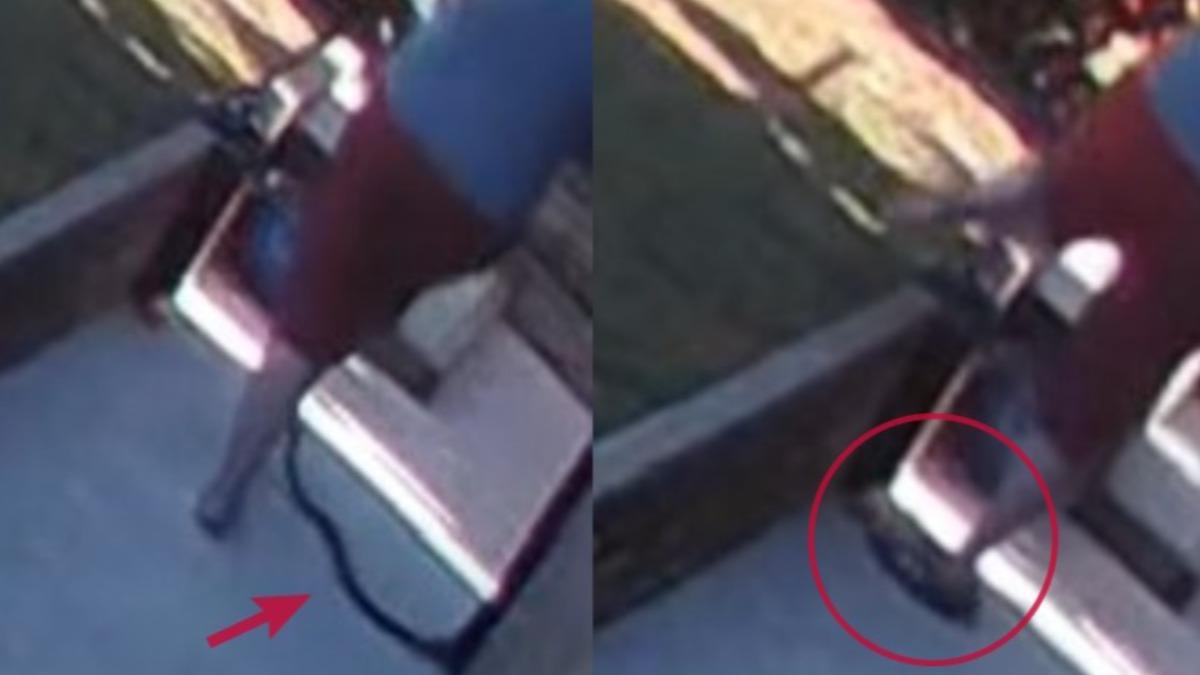 有片/澳婦光腳走路突遭「1.2公尺劇毒蛇」纏腿 驚魂瞬間曝