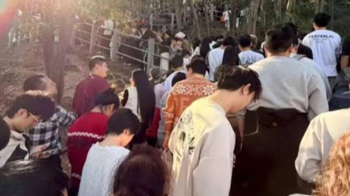 有天下第一財神廟的杭州北高峰「靈順寺」,被求財民眾塞爆,入園爬山要近5小時。(圖/翻攝自微博)