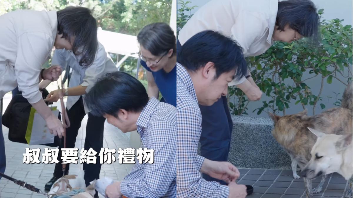 年假最後一天!賴清德同框蔡英文 蔡賴蕭齊聚曬毛孩
