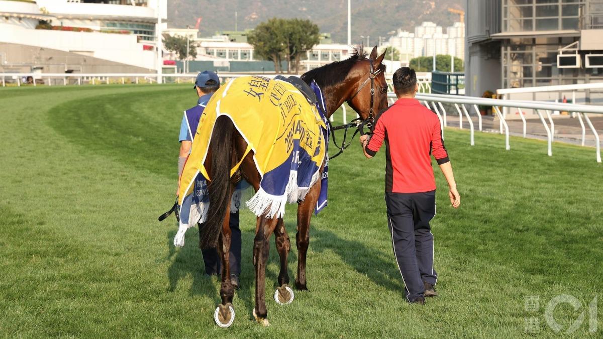 馬王「嘉應高昇」(1號 )轉彎入直路開始加速。(圖/香港01提供)
