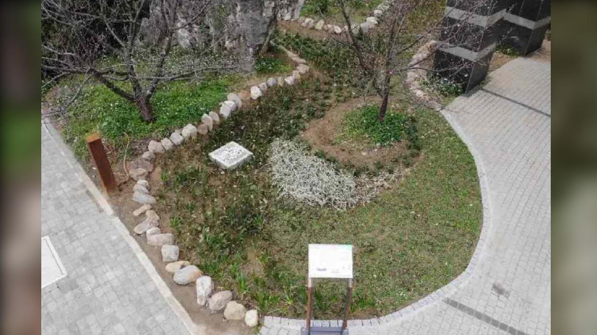 桃園國家環境研究院的雨水花園。（圖／環境部提供）