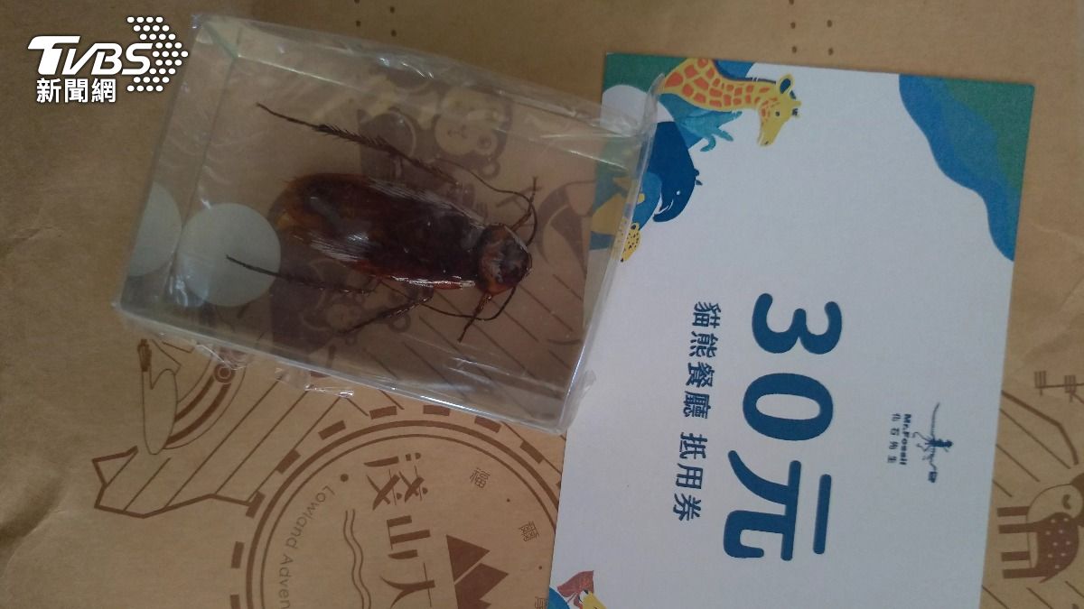 動物園馬年刮刮樂刮出限量「蟑螂標本」。（圖／＠ginatachang授權提供）