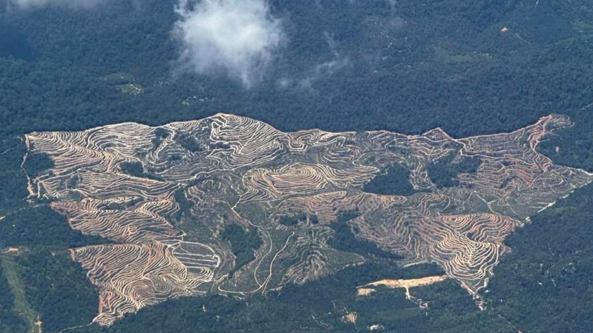 天氣等壓線圖實體化!鄭明典曬1圖喊「有趣的線條」內行解答
