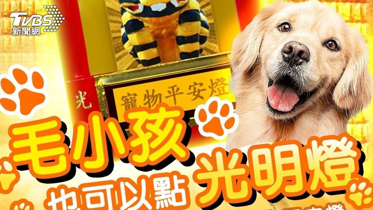 毛小孩也能點光明燈!「這事」千萬別做 5禁忌一次看
