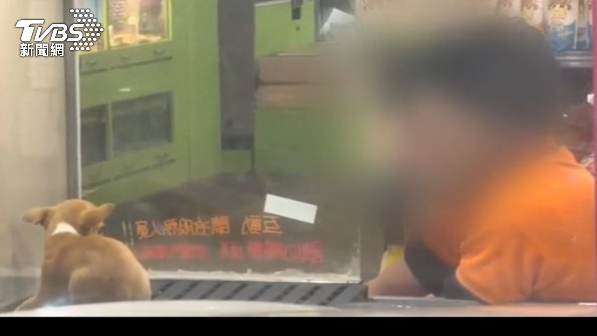 宜蘭寵物店員遭控虐狗，男店員當天火速離職。（圖／wei_chen1000106　threads）