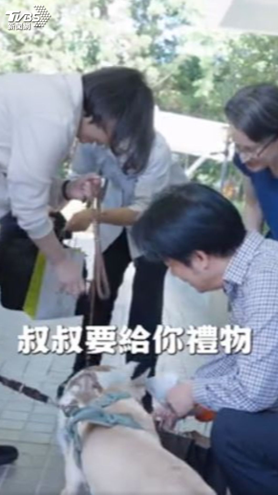 前總統蔡英文與總統賴清德。(圖/TVBS)