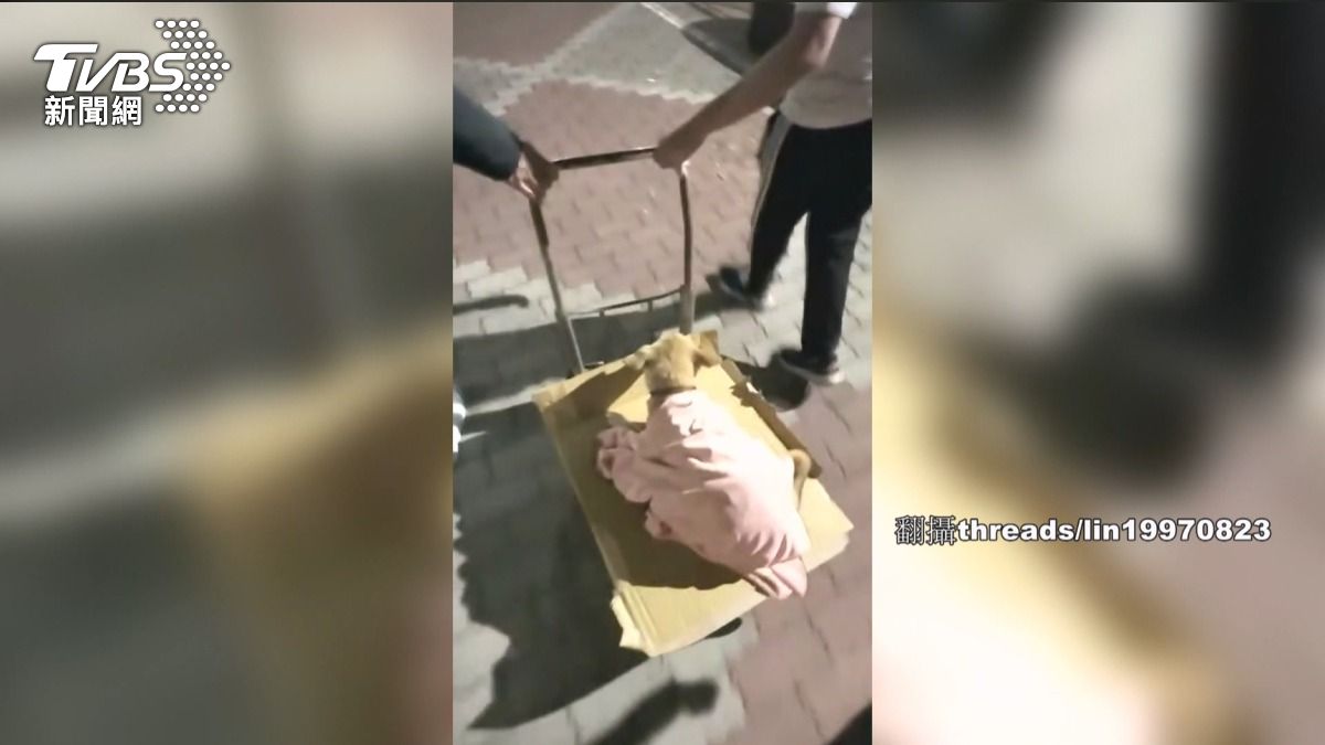 男踹浪浪害墜樓 骨盆碎裂「阿勇」撐過。(圖/民眾提供)