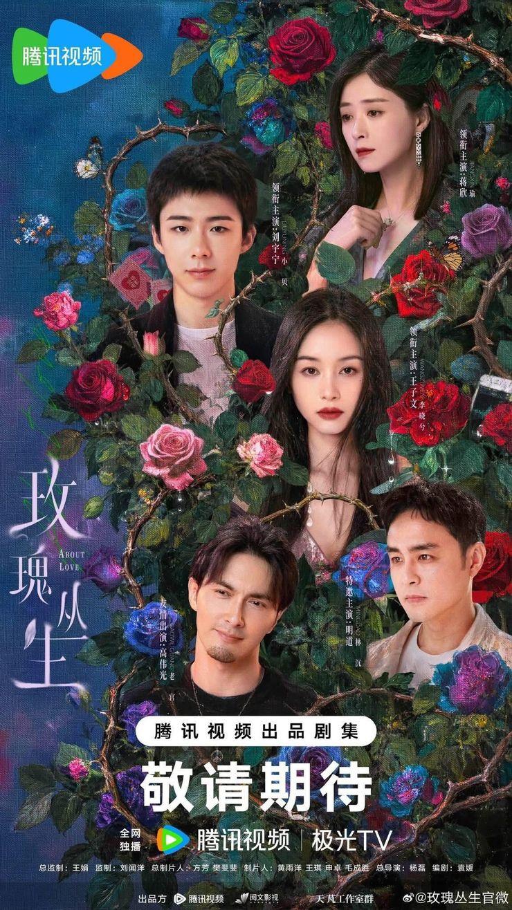 玫瑰叢生-玫瑰叢生線上看-玫瑰叢生劇情-玫瑰叢生演員-玫瑰叢生追劇日曆-玫瑰叢生預告-劉宇寧