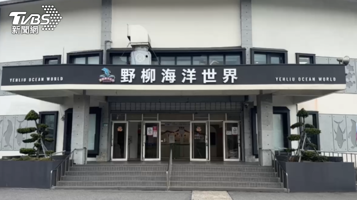 野柳海洋世界春節遊園人數，較去年增加3%。（圖／TVBS）