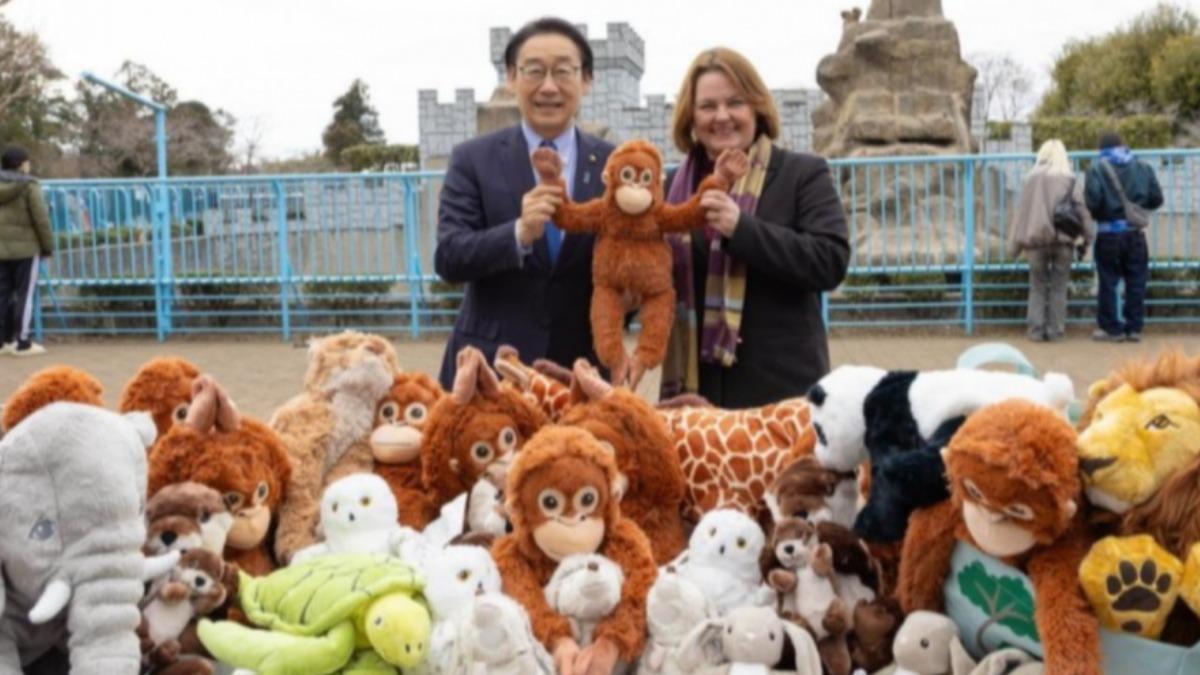 日本IKEA社長(右)捐獻許多玩偶,其中包含多隻Panchi君喜愛的紅毛猩猩玩偶,希望能讓牠「備用」。(圖/翻攝 emogram)