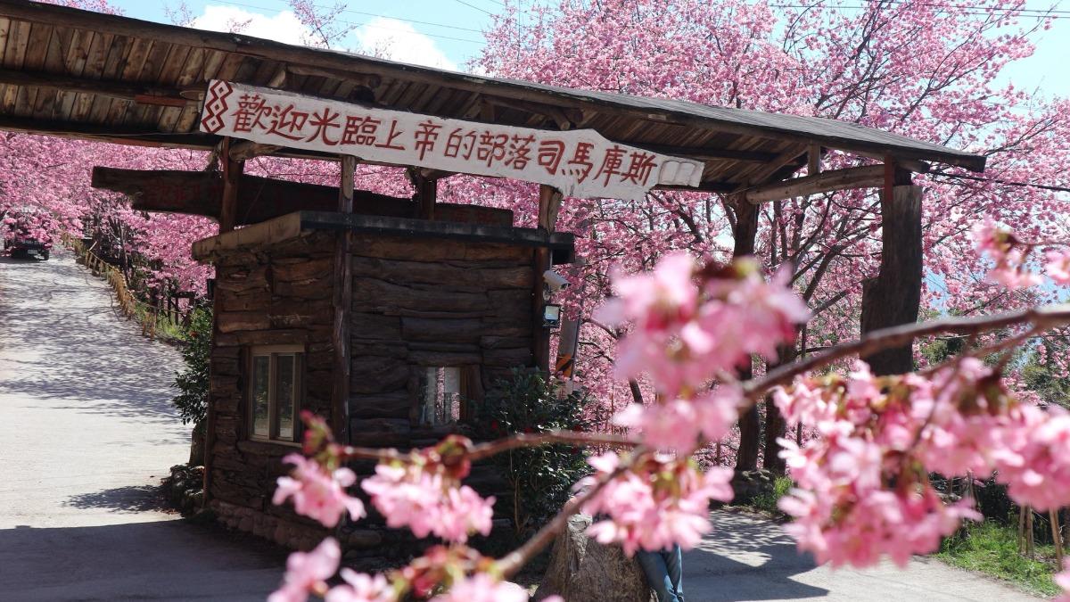 司馬庫斯是台灣著名的原住民泰雅族部落。(圖/翻攝自Smangus司馬庫斯粉專)