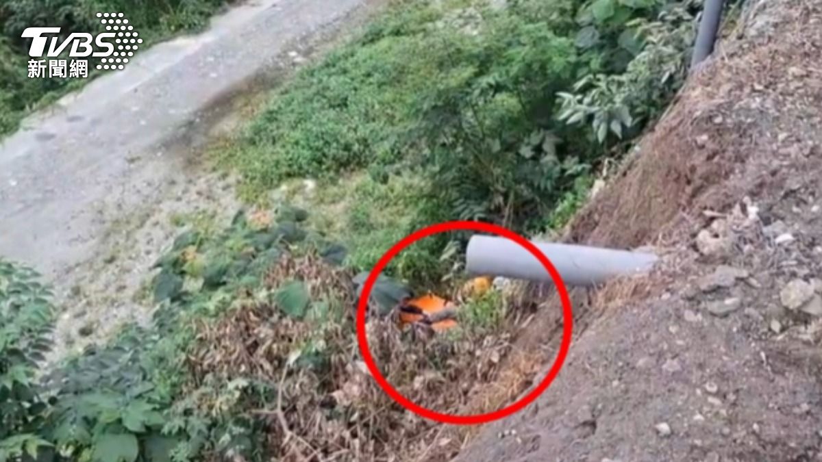 一名婦人修繕圍籬不慎墜邊坡,最終傷重死亡。(圖/TVBS)