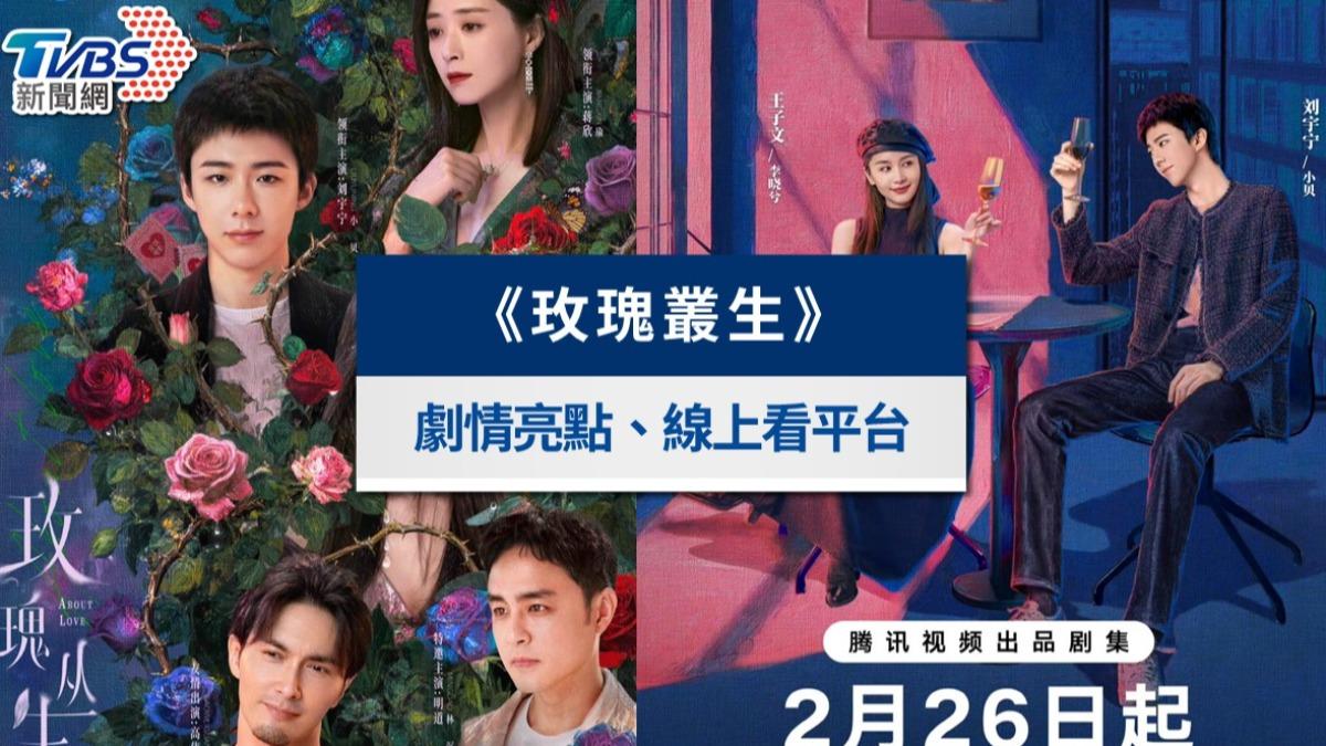《玫瑰叢生》線上看|劉宇寧挑戰完美男友!大結局、劇情亮點一次看