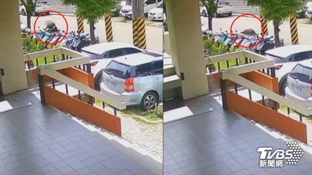 高雄黃姓男子，他因為騎機車掛假牌被查扣，沒想到隔天竟然帶著油壓剪，剪斷鐵鍊把被扣押的機車搬走（圖／TVBS）