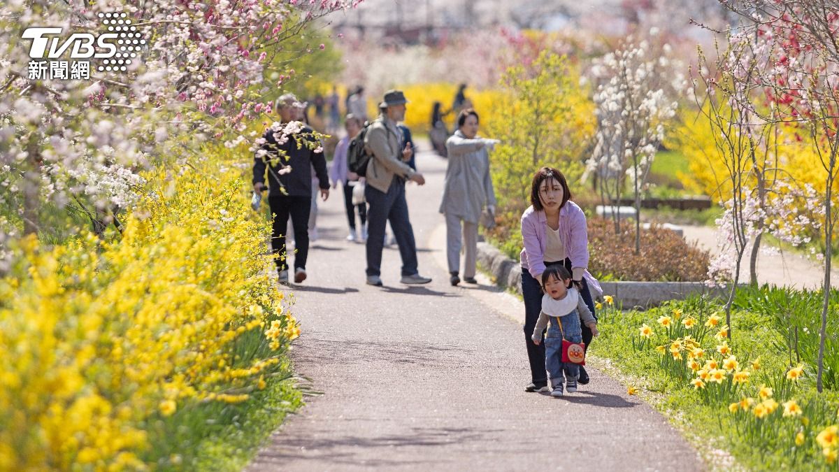 日本出生人數連續10年下滑。(圖/Shutterstock達志影像)