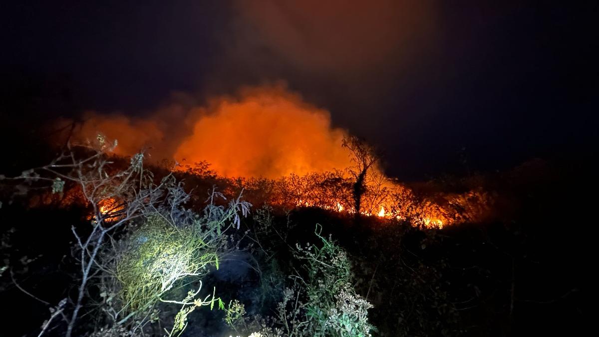 台東知本濕地烈焰沖天燒整夜!逾61公頃陷火海 下風處飄異味