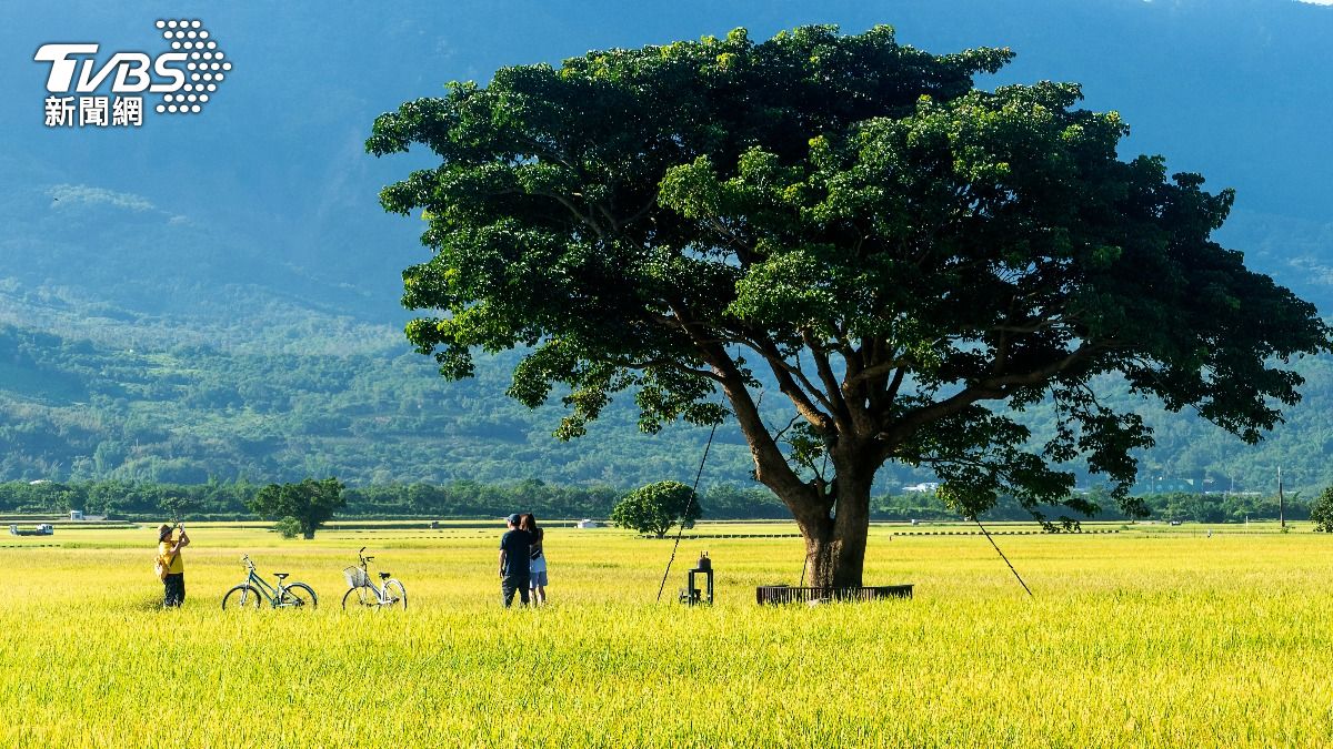 台東資料畫面。（圖／達志影像Shutterstock）
