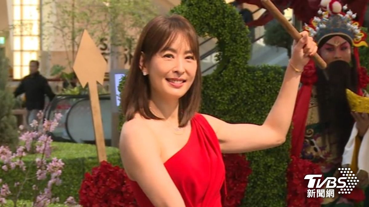 賈永婕（圖／TVBS資料畫面）