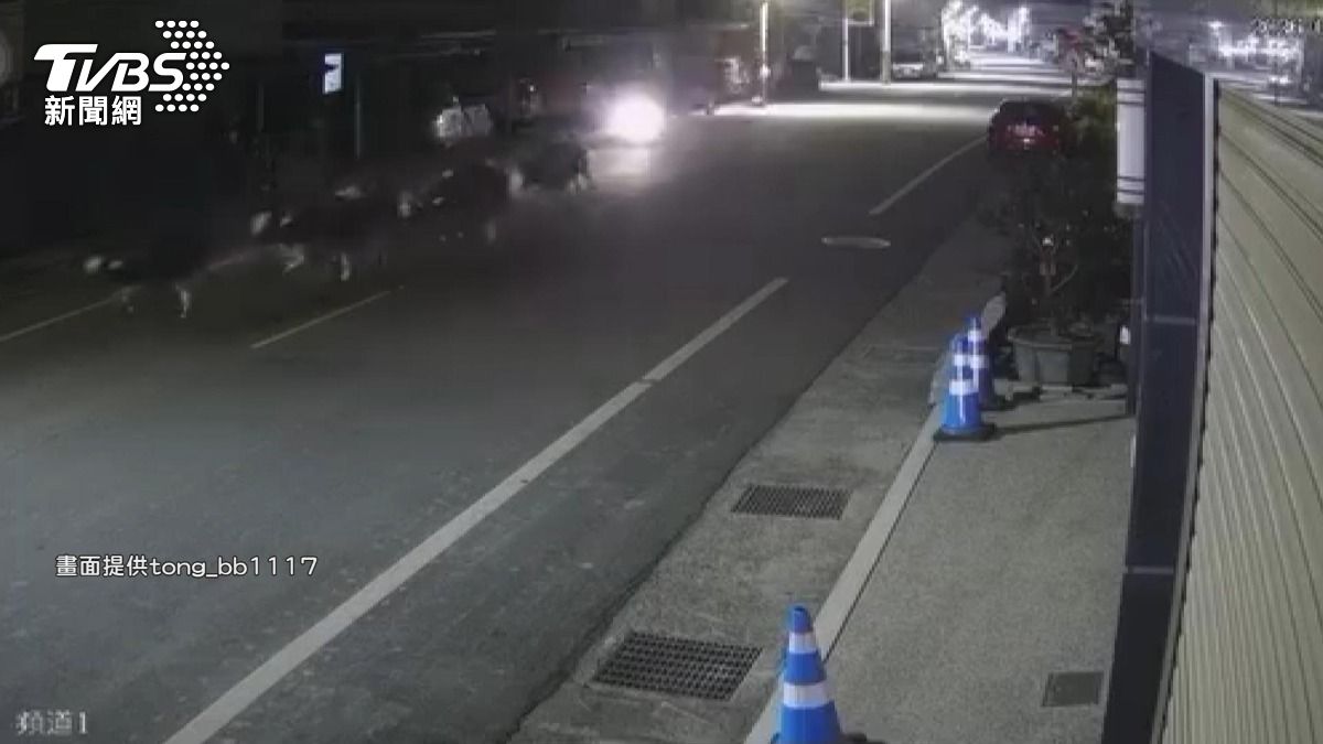 柵欄沒鎖好慘了！6乳牛深夜「逆向暴走」　路人目擊超傻眼。(圖／民眾提供)