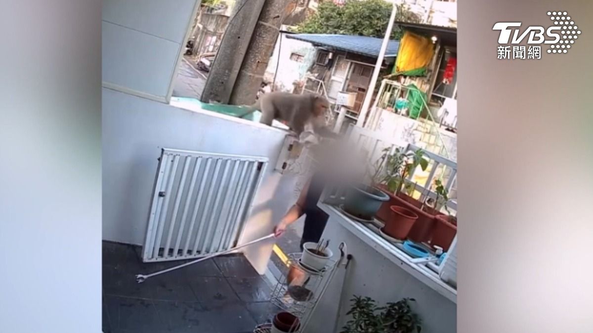 野生獼猴大辣辣占據住家車庫,遭到驅趕,居然還出手反擊,女屋主冷不防被偷襲巴頭(圖/翻攝Threads___18ooxx)
