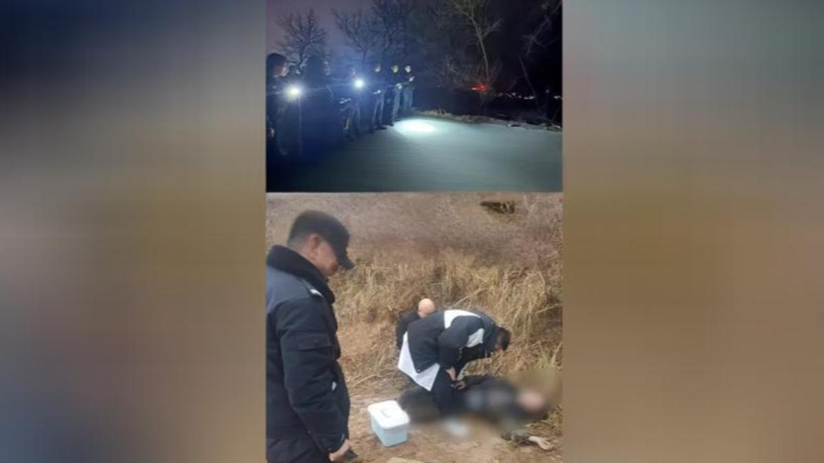 我就怕被罵！寒假作業沒寫完　陸姊弟寒流夜出走「嘴唇發白」獲救
