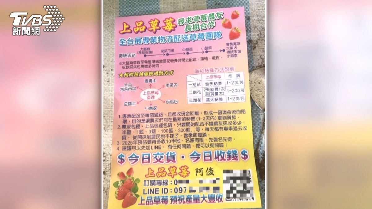 「每籃多30元」誘騙農民!草莓盤商春節捲款 藏桃園落網