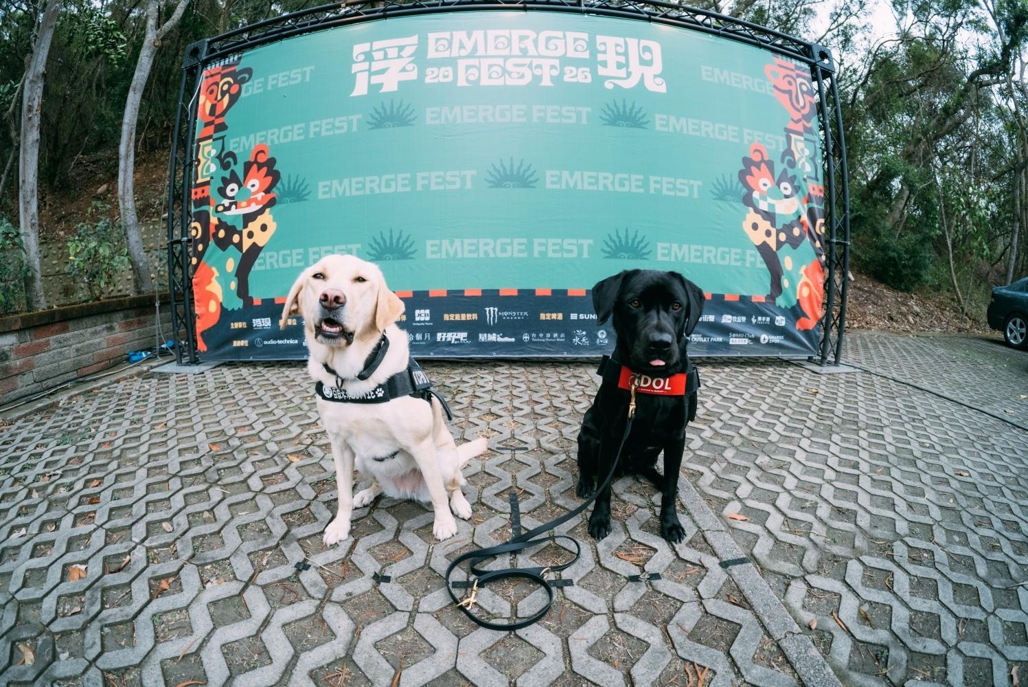 現場出現的警犬隊狗明星們成另類亮點。(圖/浮現祭提供)