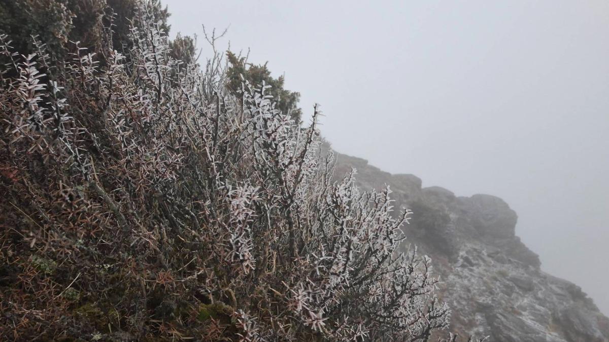 銀白世界！玉山清晨降雪　出現結冰、霧淞
